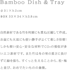 Bamboo Dish&Tray