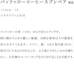 コーヒースプンペア漆黒　シルクスプン入れ付